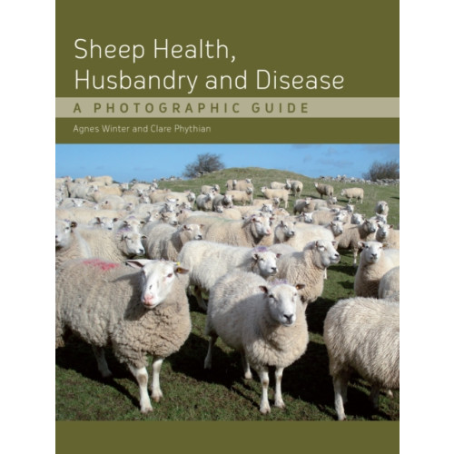 The Crowood Press Ltd Sheep Health, Husbandry and Disease (inbunden, eng)