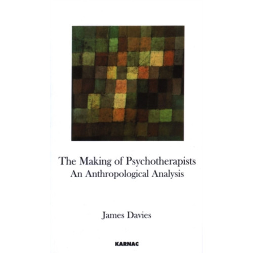 Taylor & francis ltd The Making of Psychotherapists (häftad, eng)