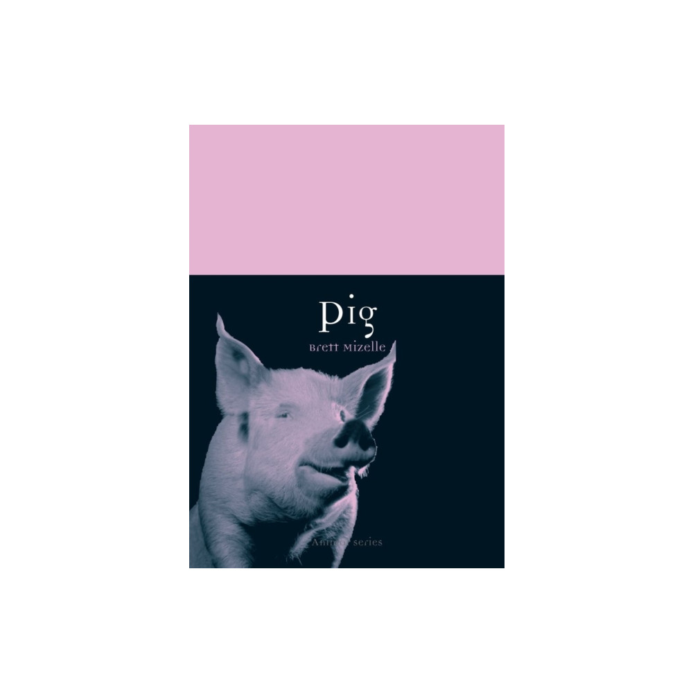 Produktbild för Pig (häftad, eng)