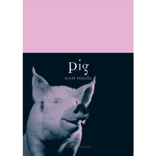 Reaktion Books Pig (häftad, eng)