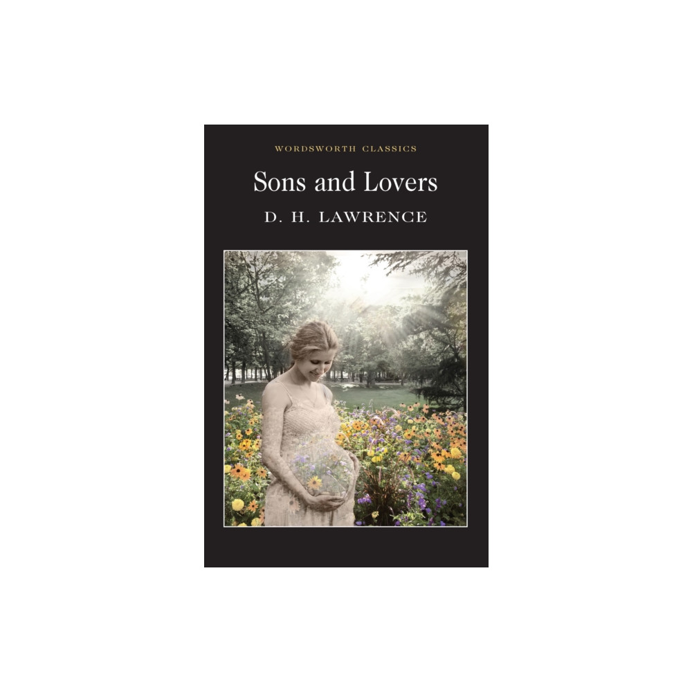 Produktbild för Sons and Lovers (häftad, eng)
