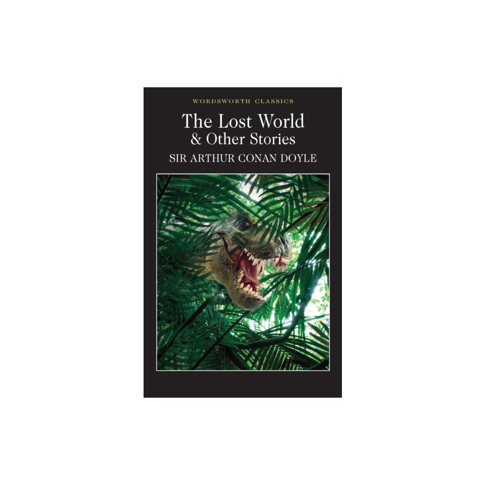 Produktbild för The Lost World and Other Stories (häftad, eng)