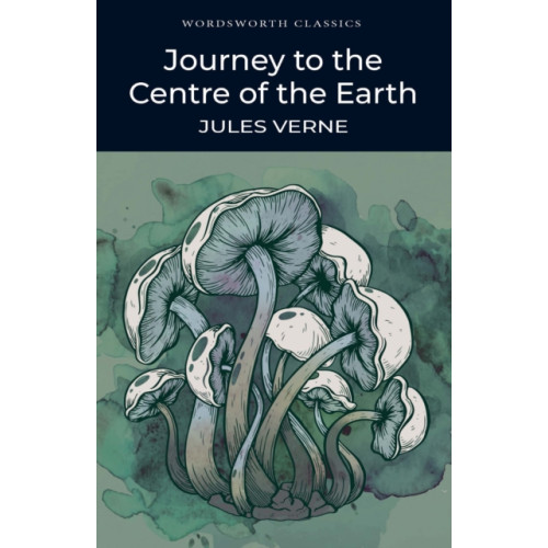 Wordsworth Editions Ltd Journey to the Centre of the Earth (häftad, eng)