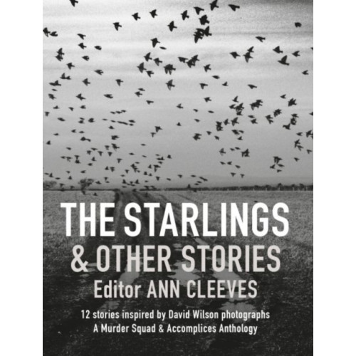 Graffeg Limited Starlings and Other Stories, The (häftad, eng)