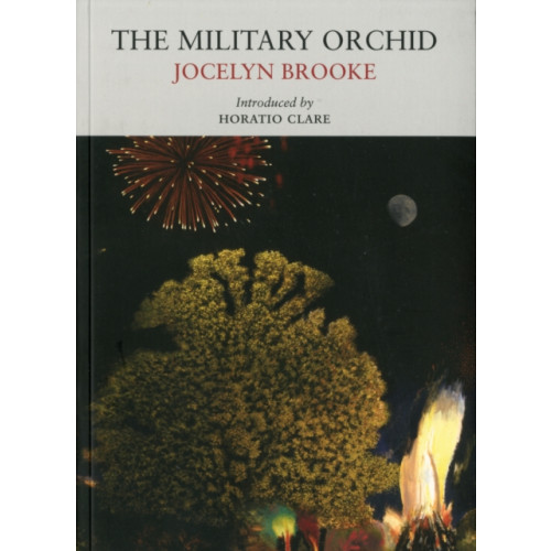 Little Toller Books The Military Orchid (häftad, eng)