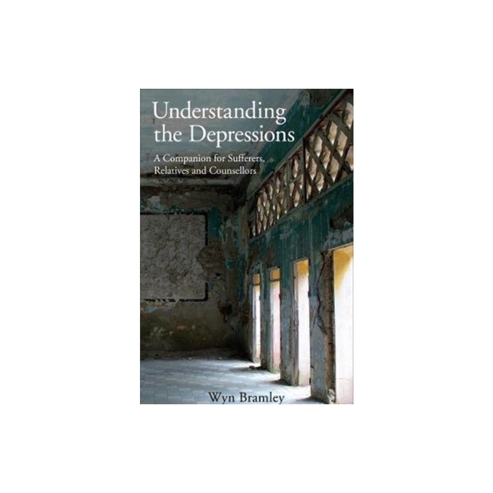 Produktbild för Understanding the Depressions (häftad, eng)