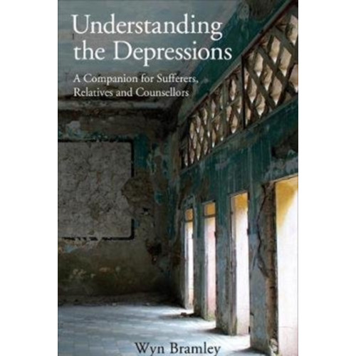 Free Association Books Understanding the Depressions (häftad, eng)
