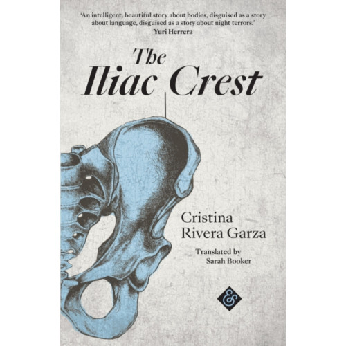And Other Stories The Iliac Crest (häftad, eng)