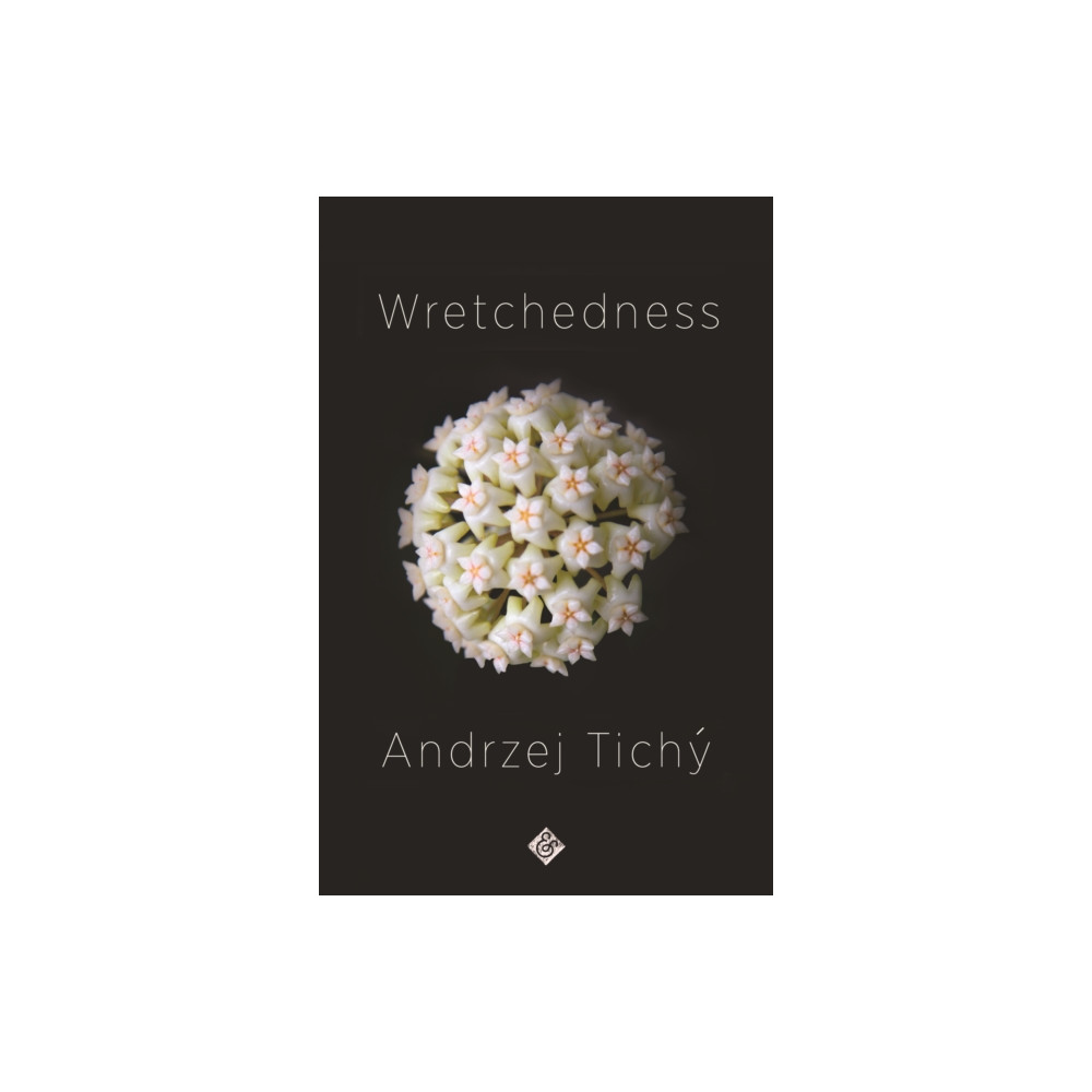Produktbild för Wretchedness (häftad, eng)