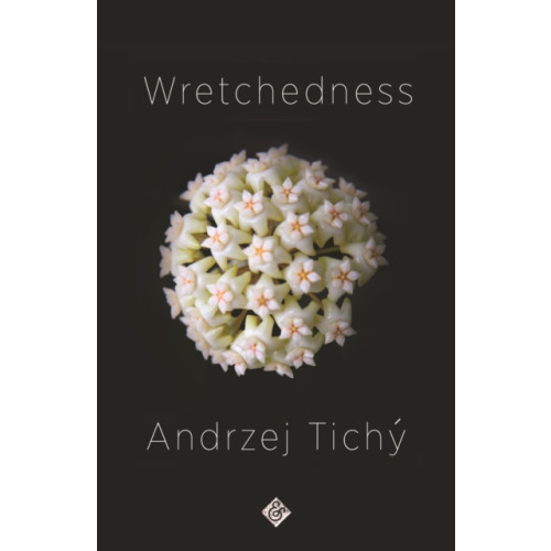 And Other Stories Wretchedness (häftad, eng)