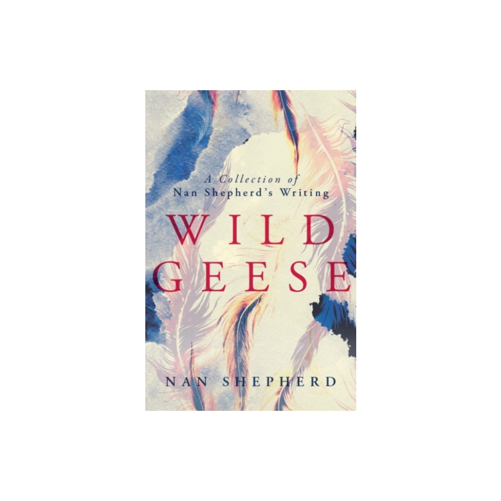Produktbild för Wild Geese (häftad, eng)
