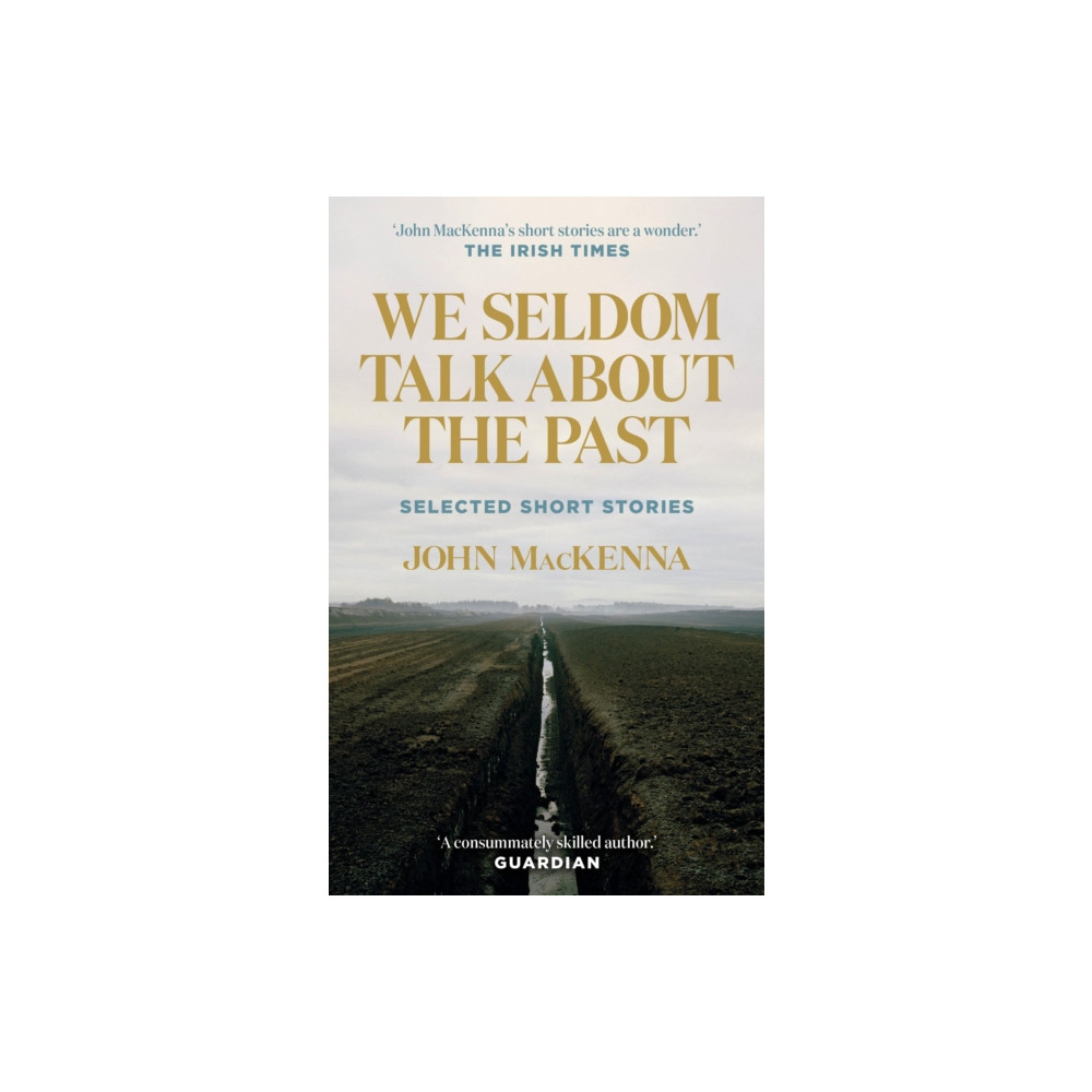 Produktbild för We Seldom Talk About the Past (häftad, eng)