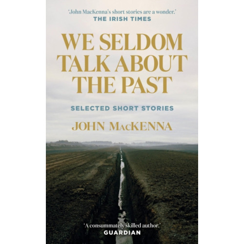 New Island Books We Seldom Talk About the Past (häftad, eng)