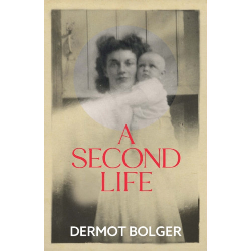 New Island Books A Second Life (häftad, eng)