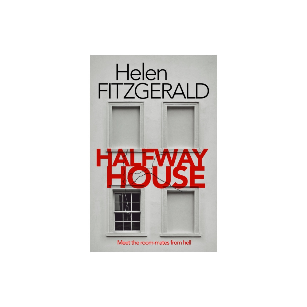 Produktbild för Halfway House (häftad, eng)