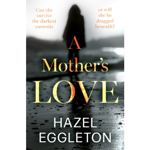 The Book Guild Ltd A Mother's Love (häftad, eng)