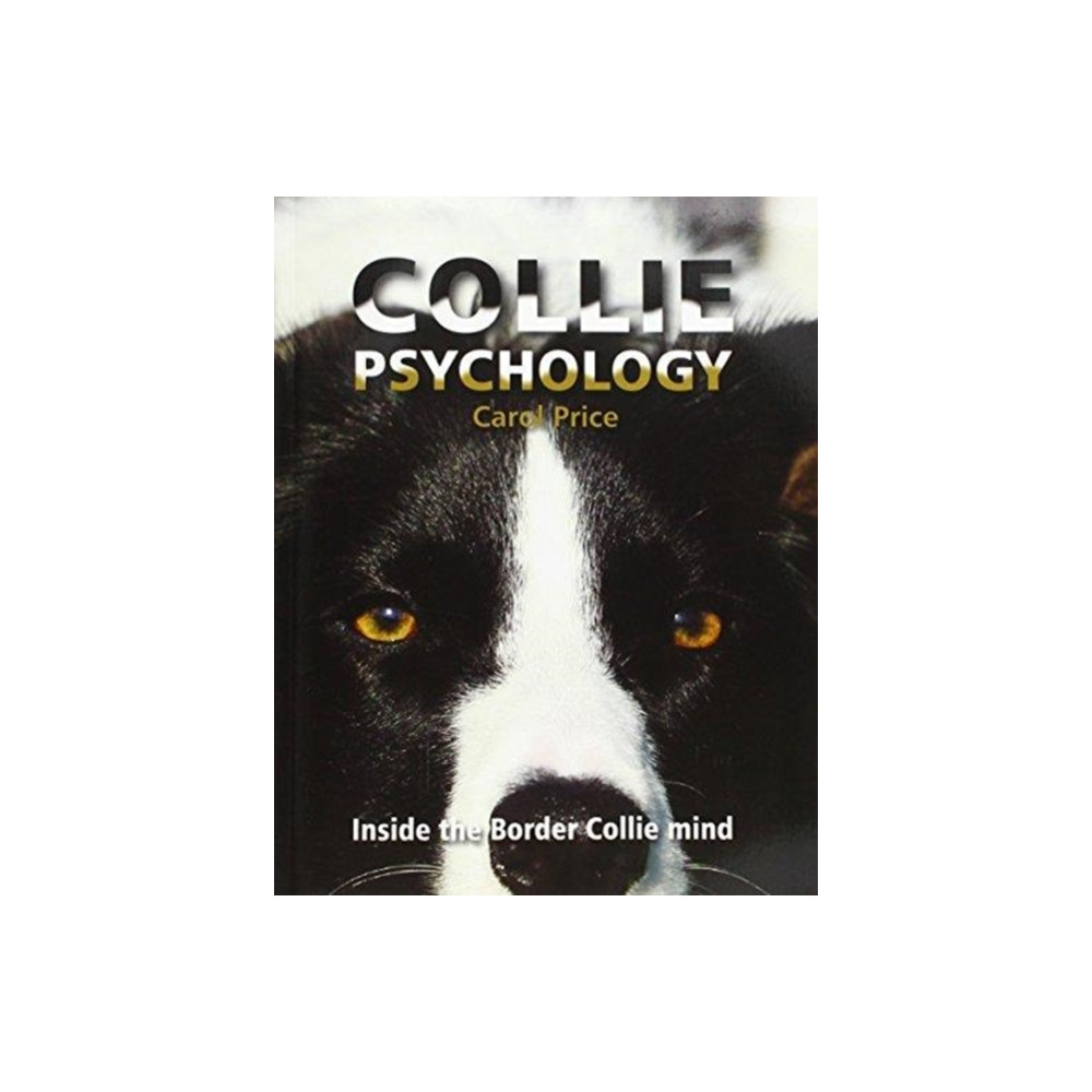 Produktbild för Collie Psychology (häftad, eng)