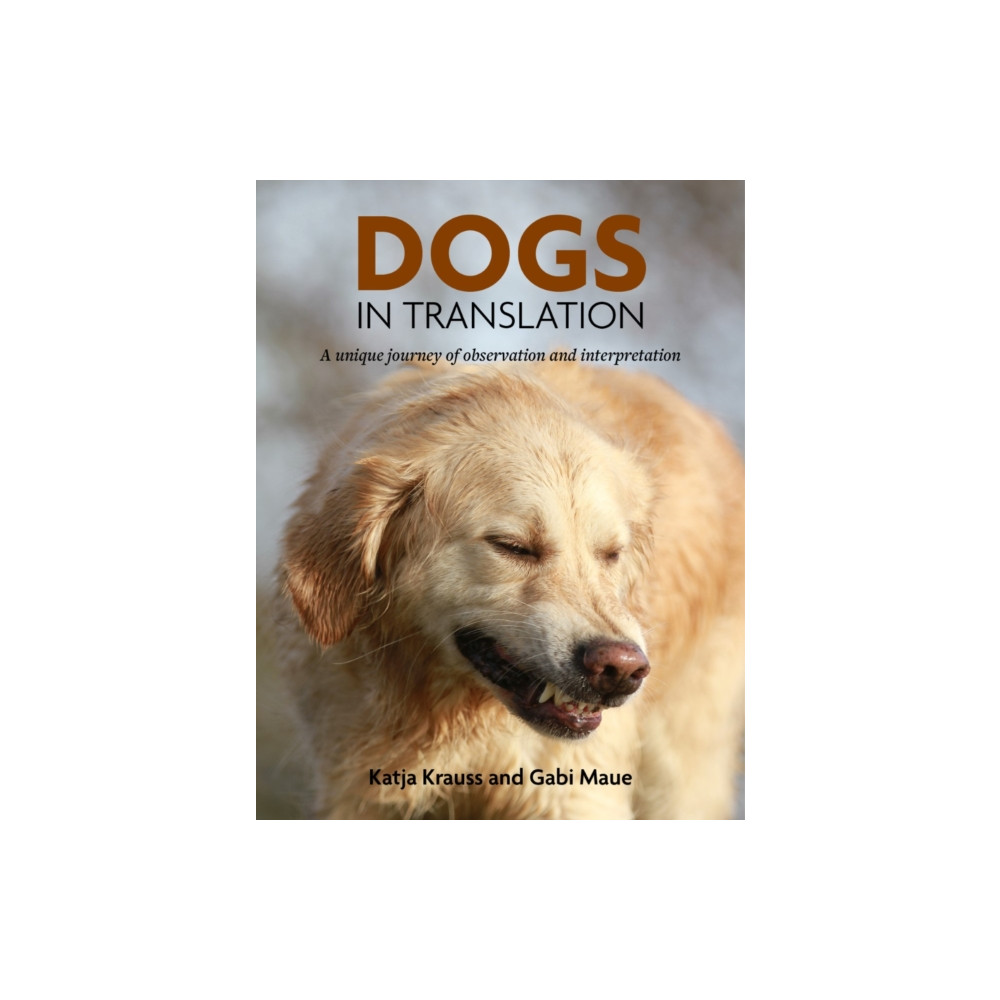 Produktbild för Dogs In Translation (inbunden, eng)