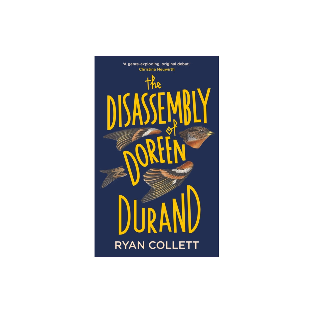 Produktbild för The Disassembly of Doreen Durand (inbunden, eng)