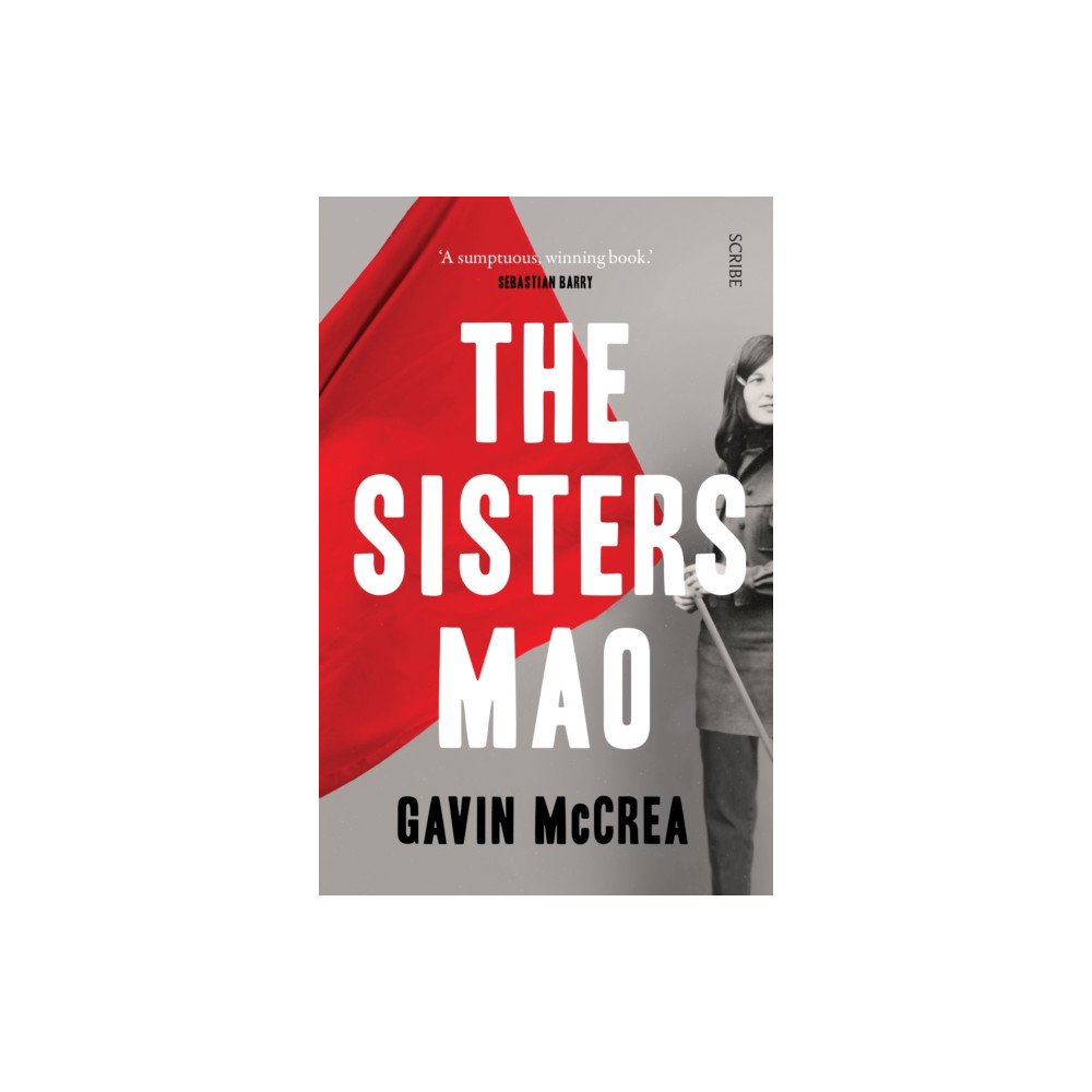 Produktbild för The Sisters Mao (häftad, eng)