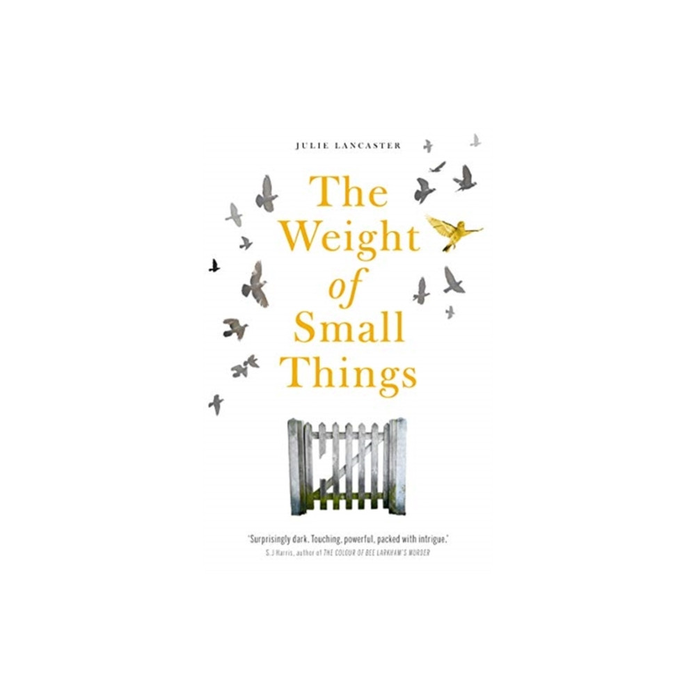 Produktbild för The Weight of Small Things (häftad, eng)