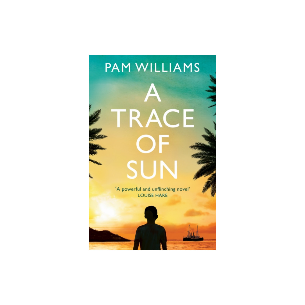 Produktbild för A Trace of Sun (häftad, eng)