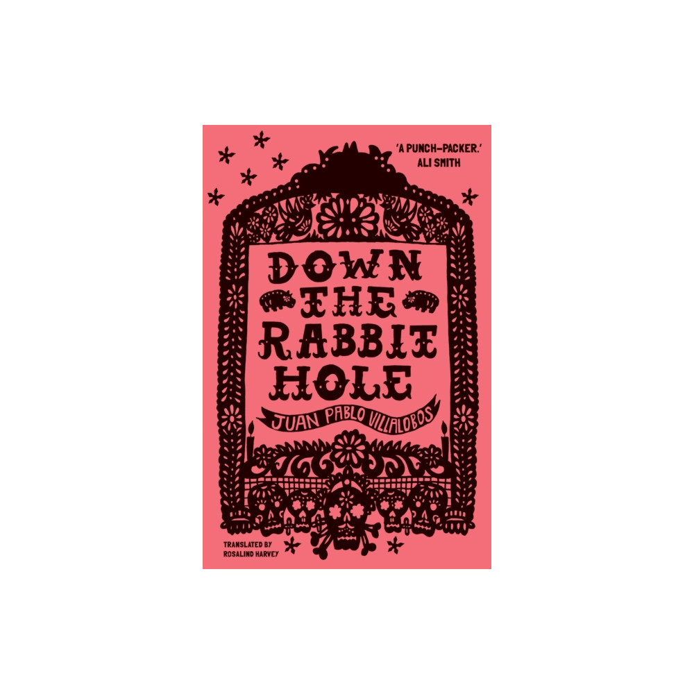 Produktbild för Down the Rabbit Hole (häftad, eng)