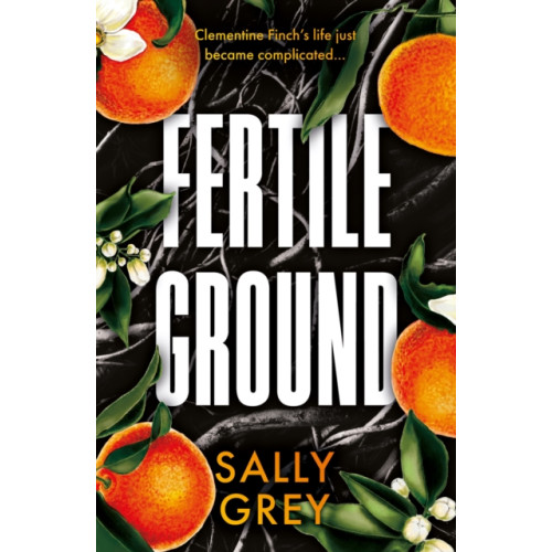 The Book Guild Ltd Fertile Ground (häftad, eng)