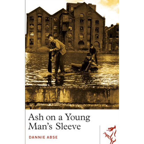 Parthian Books Ash on a Young Man's Sleeve (häftad, eng)