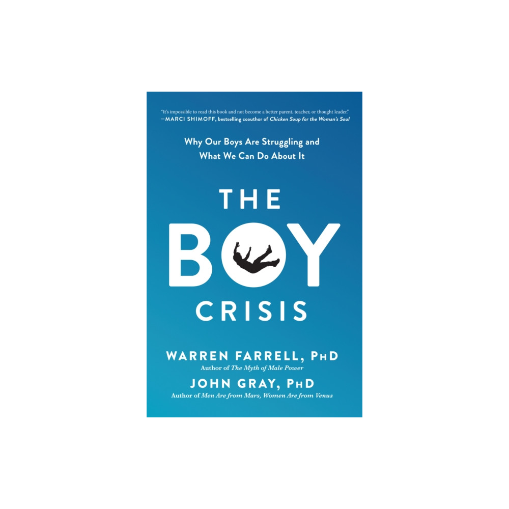 Produktbild för The Boy Crisis (häftad, eng)