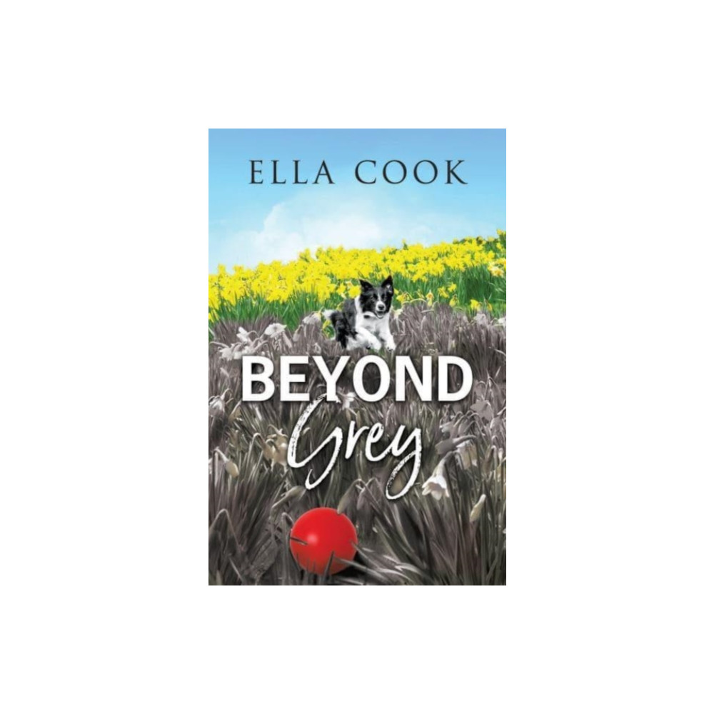 Produktbild för Beyond Grey (häftad, eng)