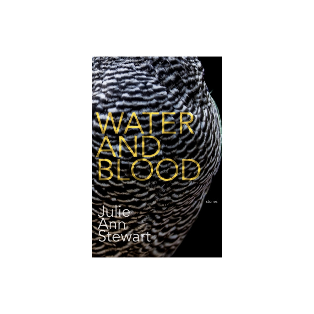 Produktbild för Water and Blood (häftad, eng)