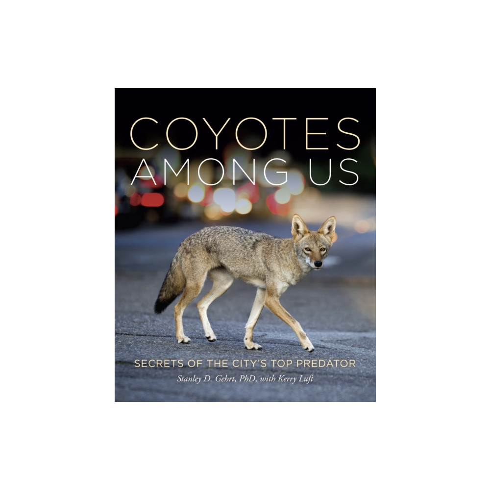 Produktbild för Coyotes Among Us (inbunden, eng)