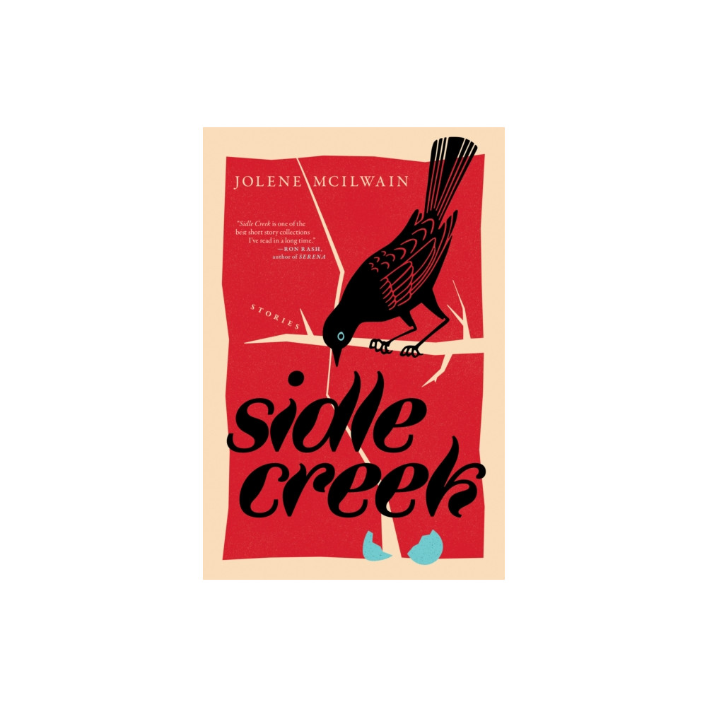 Produktbild för Sidle Creek (häftad, eng)