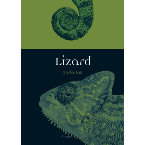 Reaktion Books Lizard (häftad, eng)