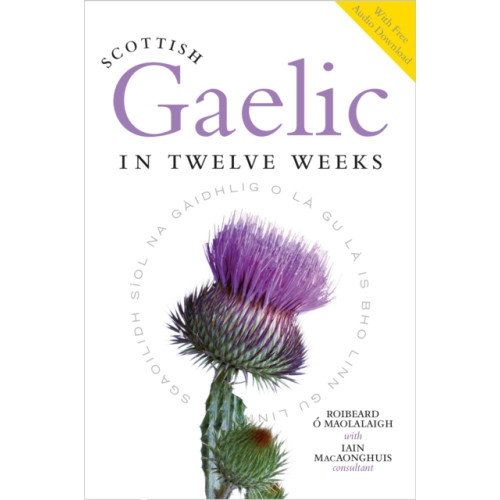 Birlinn General Scottish Gaelic in Twelve Weeks (häftad, eng)