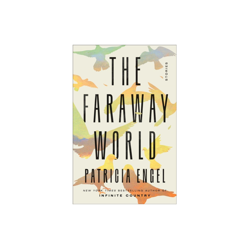 Produktbild för The Faraway World (inbunden, eng)