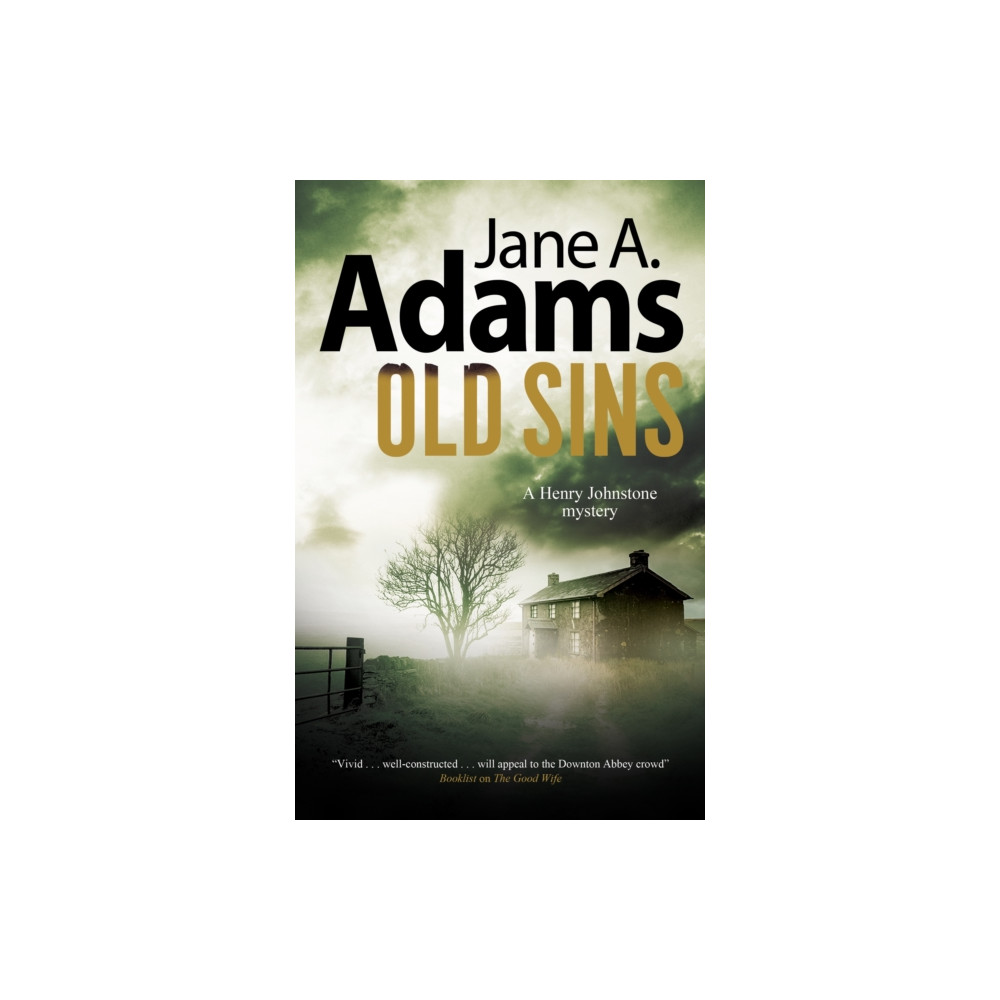 Produktbild för Old Sins (häftad, eng)