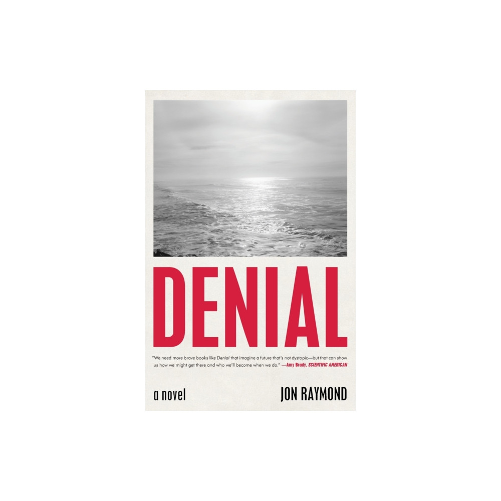 Produktbild för Denial (häftad, eng)