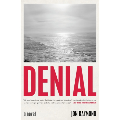 Simon & Schuster Denial (häftad, eng)