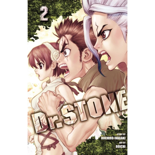 Viz Media, Subs. of Shogakukan Inc Dr. STONE, Vol. 2 (häftad, eng)