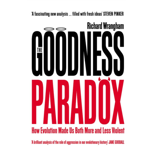 Profile Books Ltd The Goodness Paradox (häftad, eng)