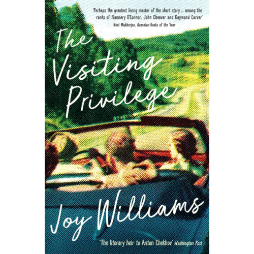 Profile Books Ltd The Visiting Privilege (häftad, eng)