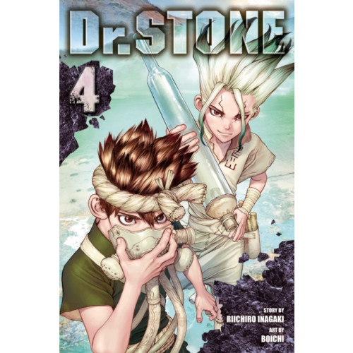 Viz Media, Subs. of Shogakukan Inc Dr. STONE, Vol. 4 (häftad, eng)