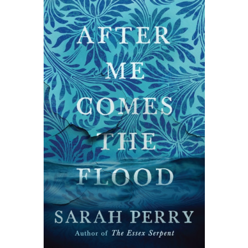 Profile Books Ltd After Me Comes the Flood (häftad)