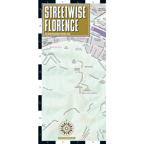 Michelin Editions Des Voyages Streetwise Florence Map - Laminated City Center Street Map of Florence, Italy