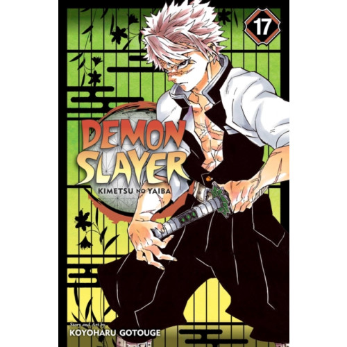 Viz Media, Subs. of Shogakukan Inc Demon Slayer: Kimetsu no Yaiba, Vol. 17 (häftad, eng)