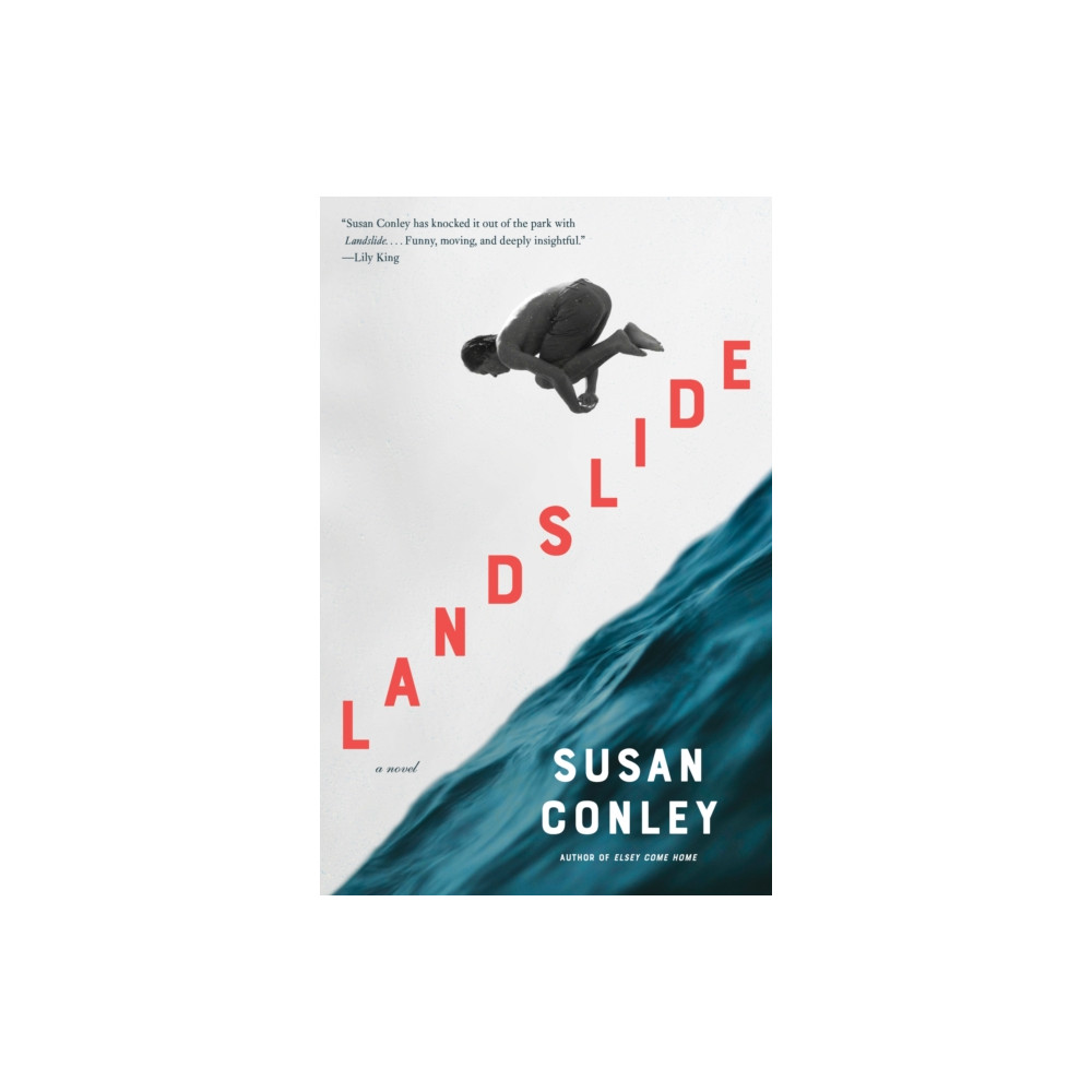 Produktbild för Landslide (häftad, eng)