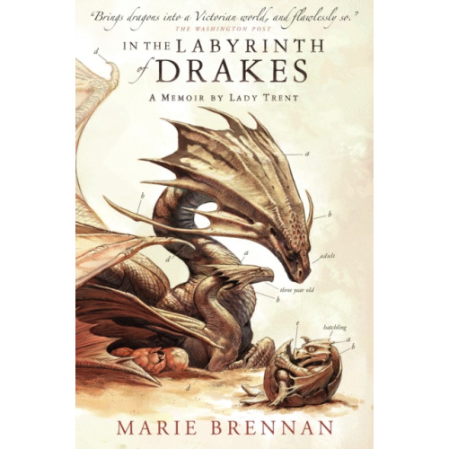 Titan Books Ltd In the Labyrinth of Drakes (häftad, eng)