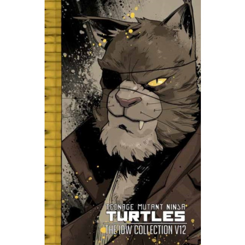 Idea & Design Works Teenage Mutant Ninja Turtles: The IDW Collection Volume 12 (inbunden, eng)